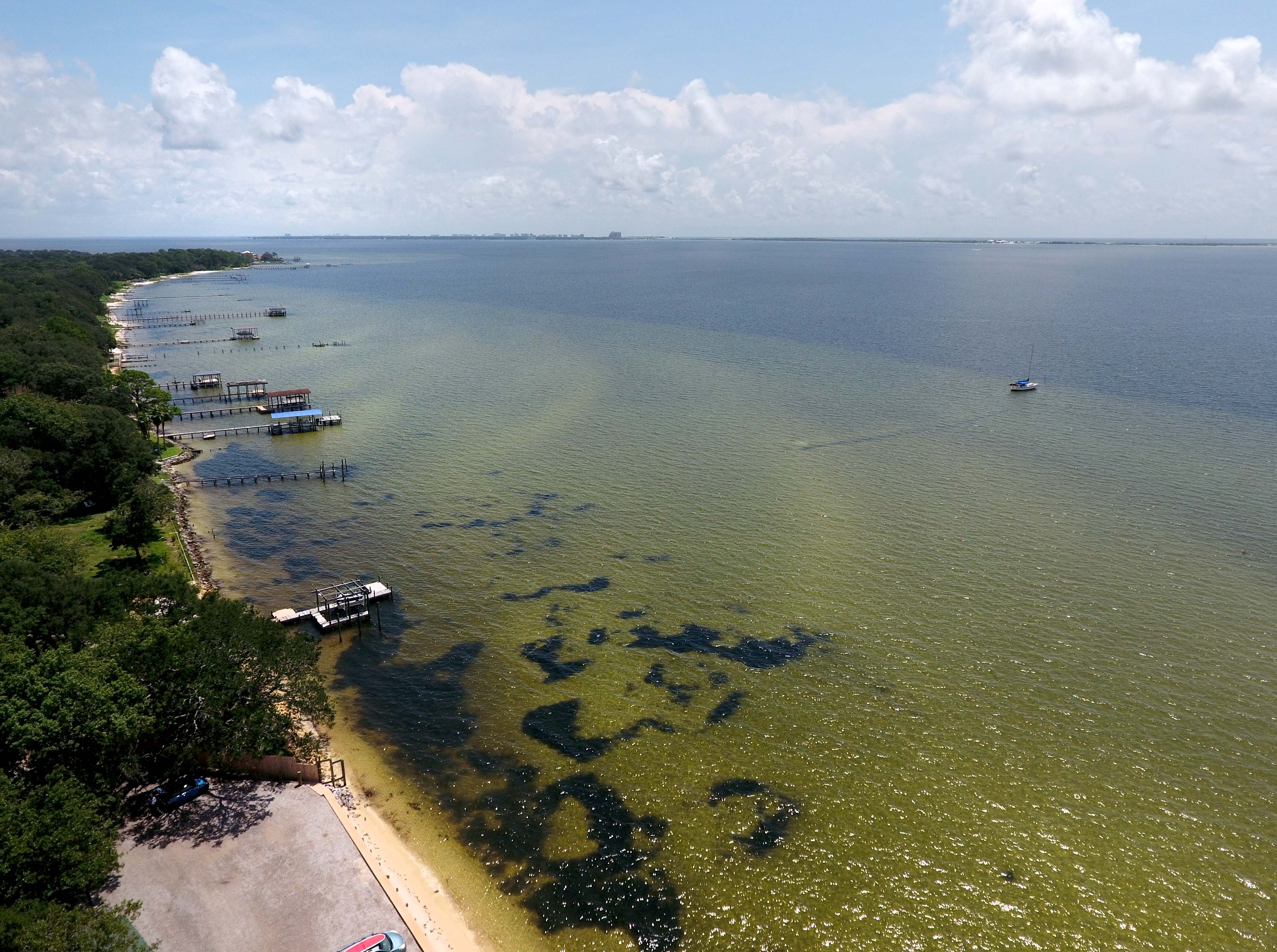Who We Are Choctawhatchee Bay Estuary Program